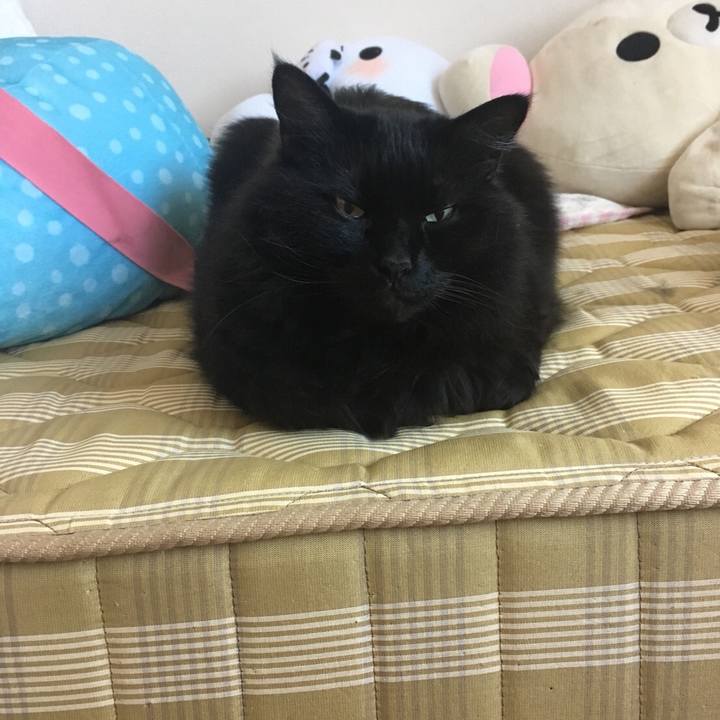 5da3acfb ffca 49bc 8983 074d1534e515 1557620533164