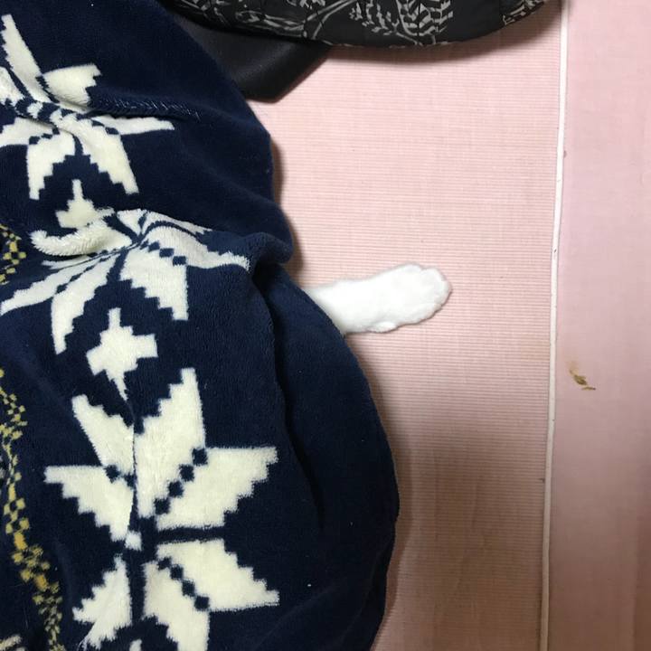 5da40771 b4fd 4244 b709 078ad8d77826 1511188742055