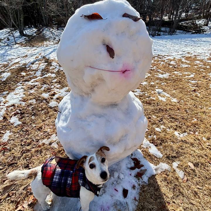 5da43dc0 edf9 4189 8101 5b6b9da1fe79 1770725003552