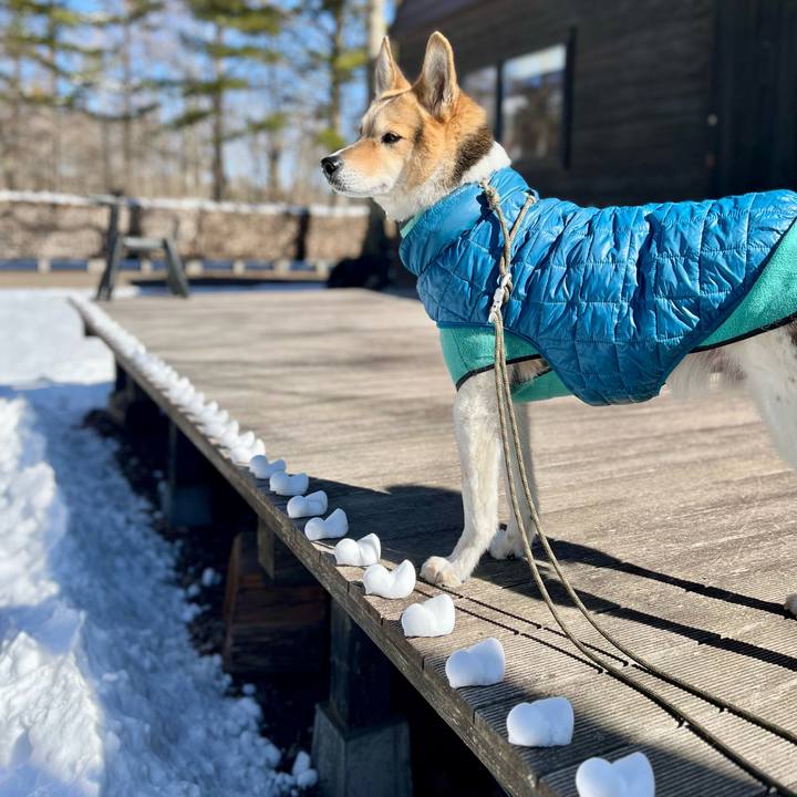 5da459c4 6697 4a0b b026 36835faadf1e 1773189918719