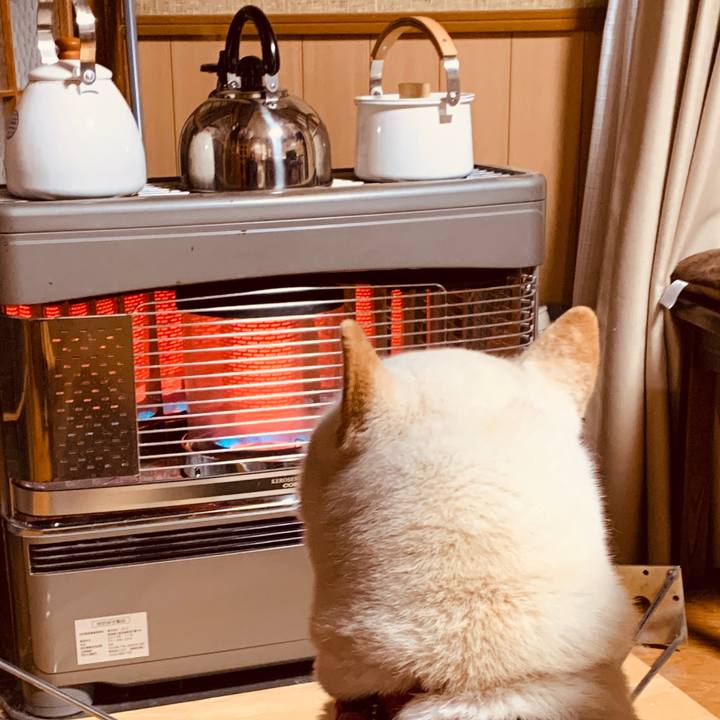 5da45a25 8117 4b6f 9ae9 cac6574f5dd4 1580168336741