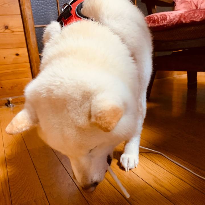 5da47568 3f7b 458c b3fa 2eee5e3a7d20 1612250226537