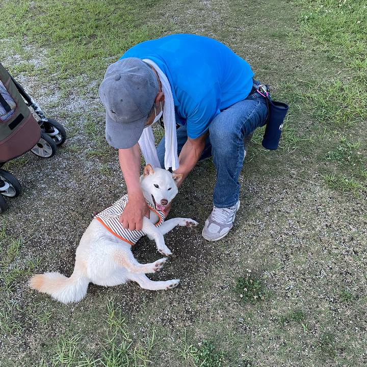 5da48ab6 0826 40fe b8b8 96ece54ce8e0 1656252389711