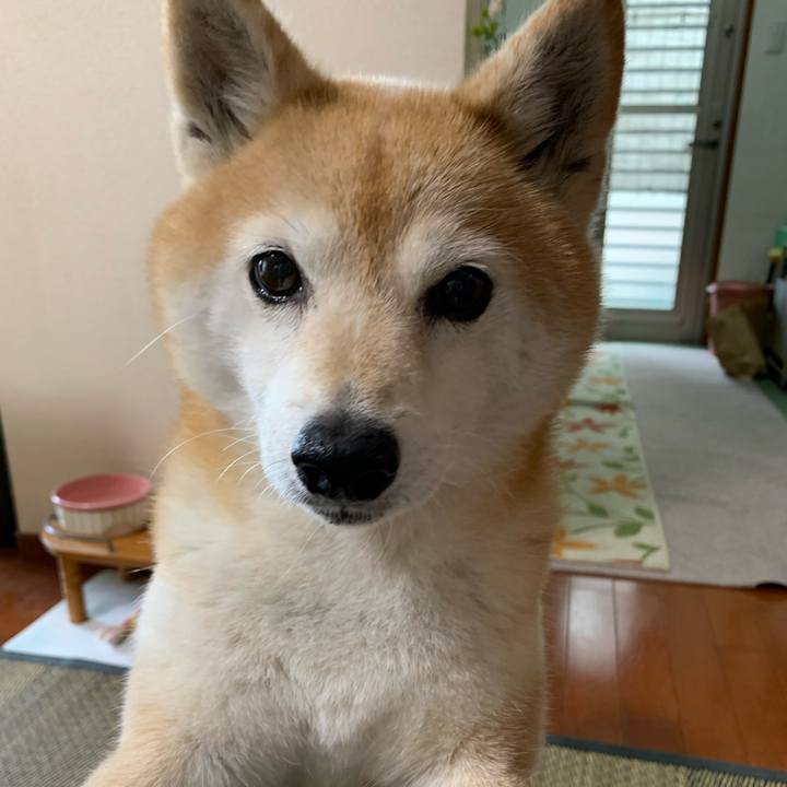 5da4cb1f e4ca 4ebc 9b86 efcb6d50fbb0 1680743263075