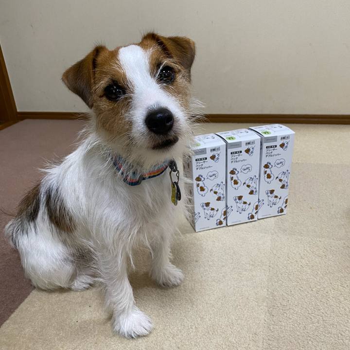 5da4de0a 2cf0 4e41 86be ebda9888d6f7 1662191617872