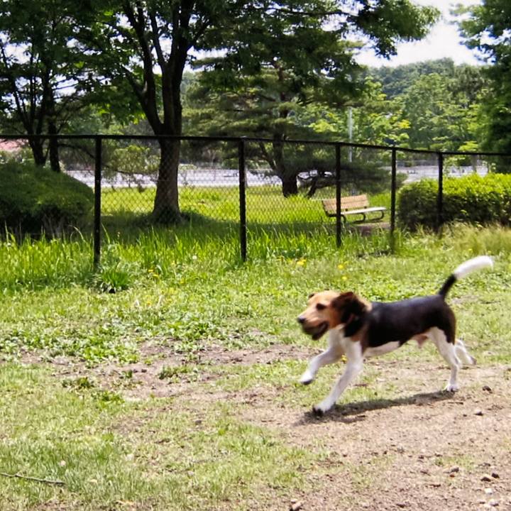 5da4ed53 97ef 429a 85f5 310d9072001b 1777943476859