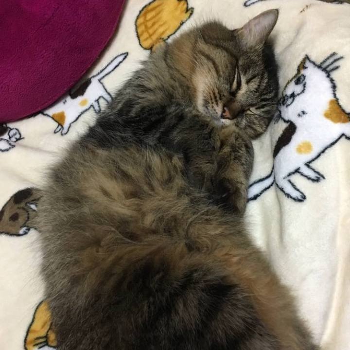 5da4effb 5a41 4a63 99a2 6e1d6147be42 1760837021158