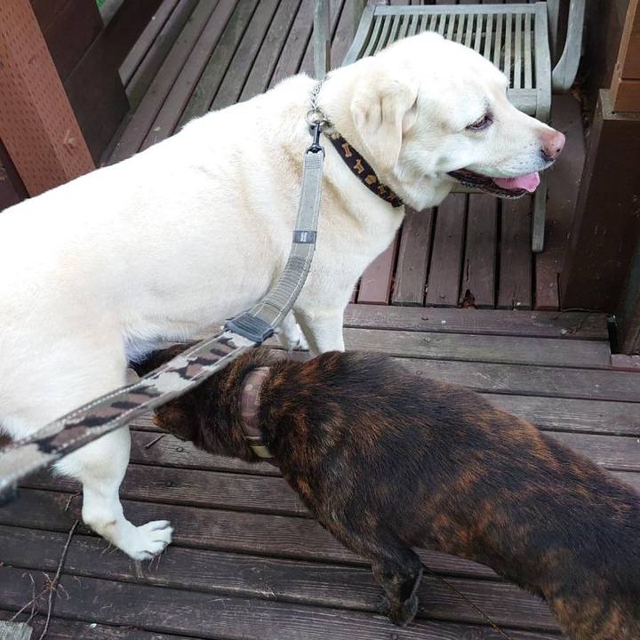 5da51461 1257 40bd b1dc 12bdb8fab0cb 1723991083576