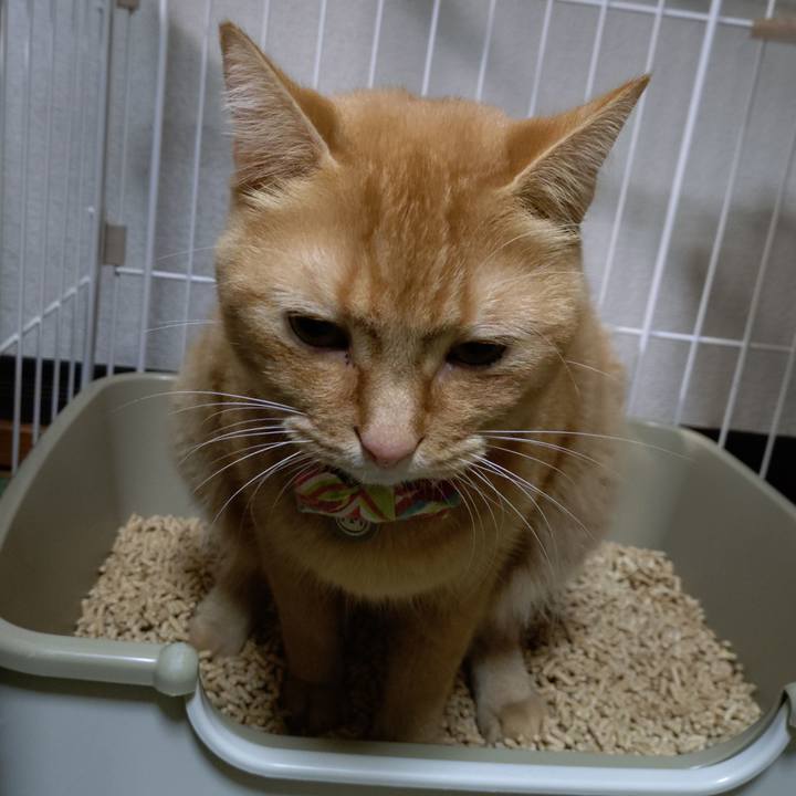 5da537ab 53d1 41fc 8636 82ccdc95daab 1763895487145