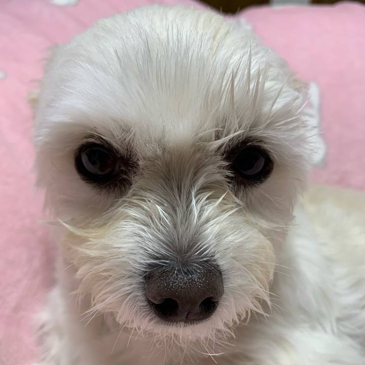 5da53ab1 1193 4104 8b7f cda824d53bca 1607776389317