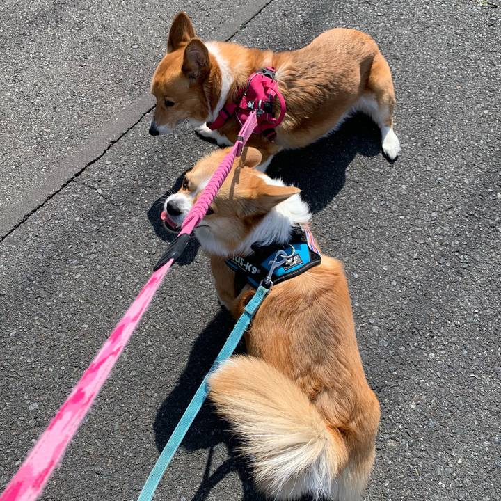 5da55853 ddd3 463d bb0d 9ebebf24690e 1710564583957