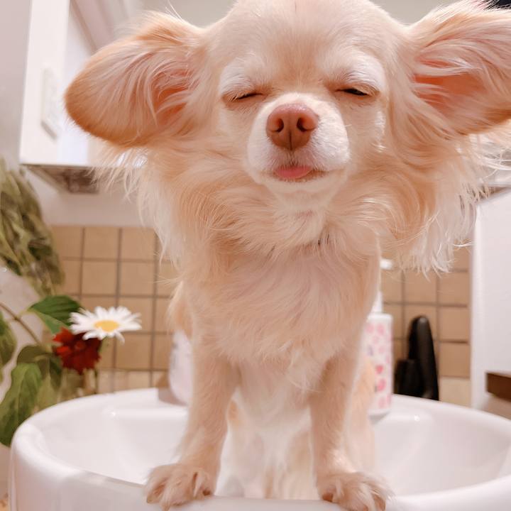 5da57090 5cb4 4c71 8530 d2f7425b0e20 1654689072134