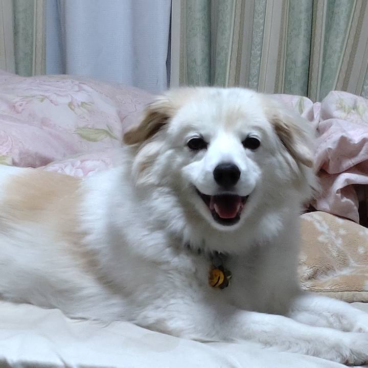 5da58a79 794a 4ea3 b321 d6338dc145e6 1650621387662