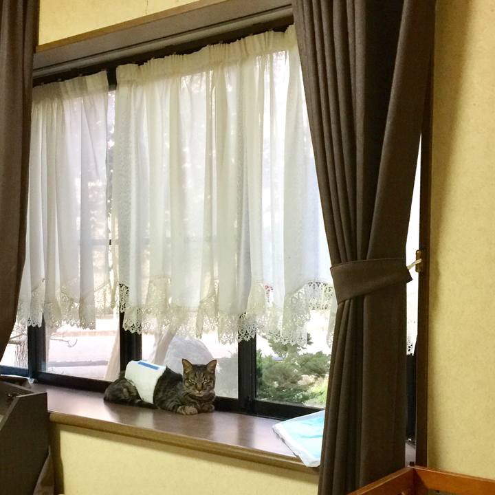 5da5d727 5b6d 4ecd 8826 b537cb799e98 1569388208374