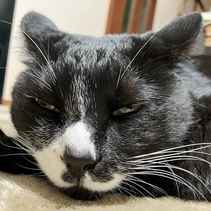 5da5ec75 5eb4 4519 92a5 c7afea10b7fa 1673686811748