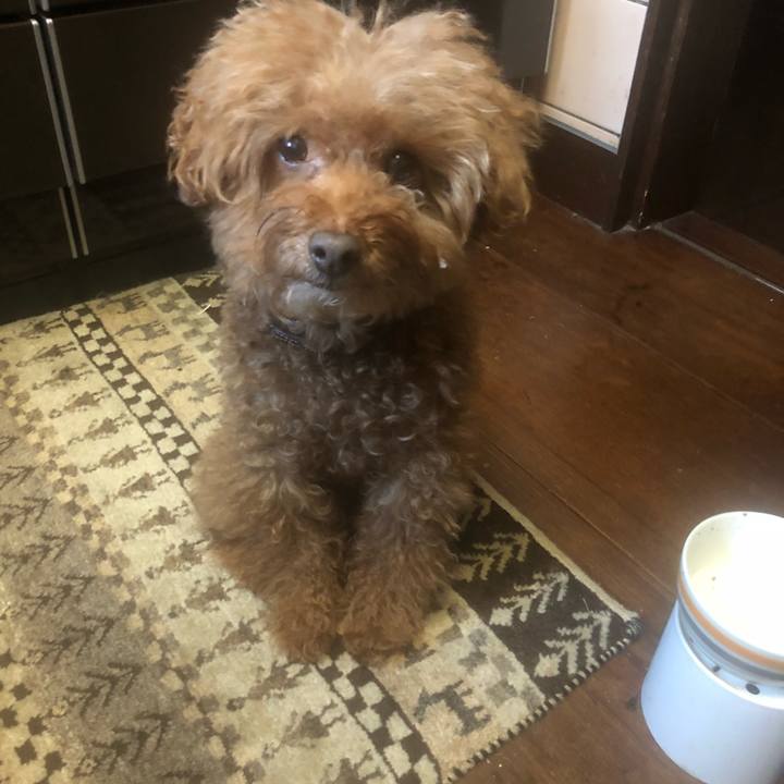 5da5ef16 af7a 4243 bc07 a66cf1c351fd 1549427318117