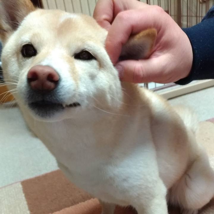 5da5f36c c099 4a7e 90b9 bbcb07597d78 1581197409830