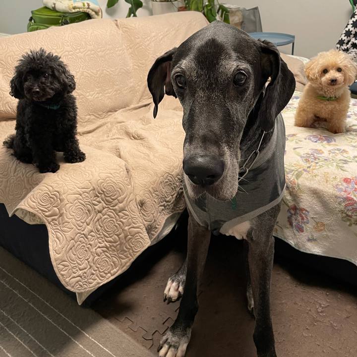 5da60b52 de24 4f4c ac5a 9faecff3442a 1634165482399