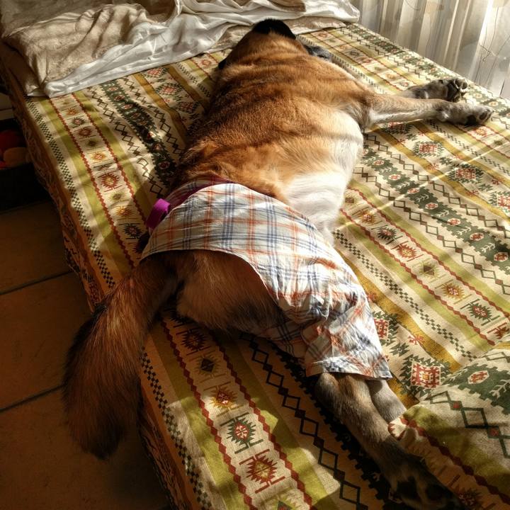 5da62a28 116c 4cdf b8c7 9787dcd23675 1516508187240