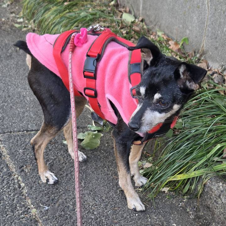 5da64c2c 3f10 481c 8693 19f8a08d6239 1771806681675