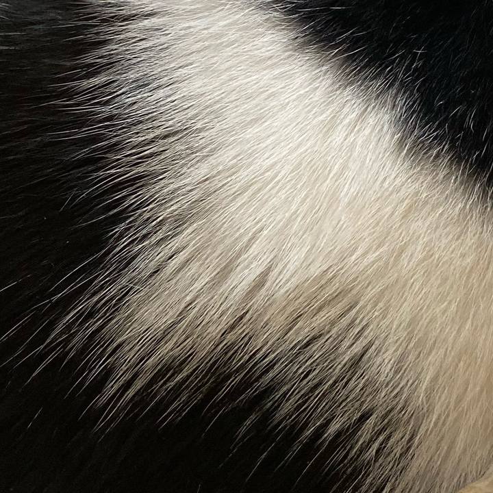 5da65ea6 bb44 44b5 a14e 3863b92965b9 1573966391843