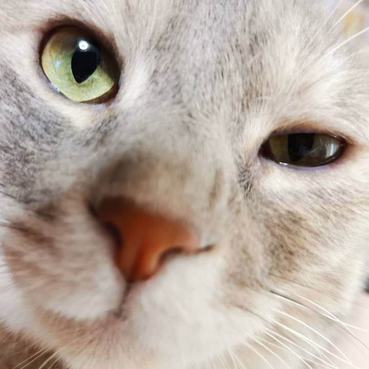 5da66a42 a0ee 4f97 b4e2 e2442114890c 1599483909543