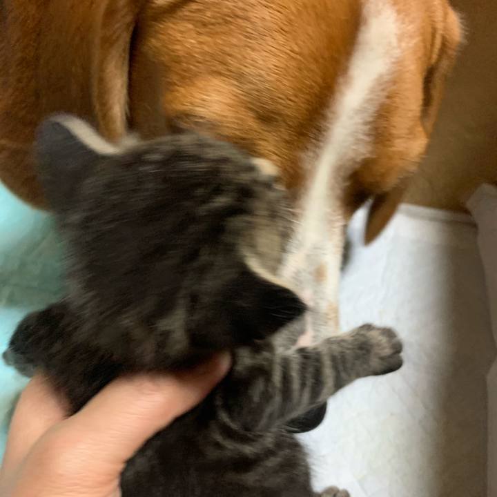 5da67a7a ee37 4906 95ec 065427edc882 1569940785838