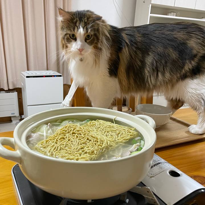 5da67de8 a8c8 48f5 9d49 4f57ecaad462 1675589865174