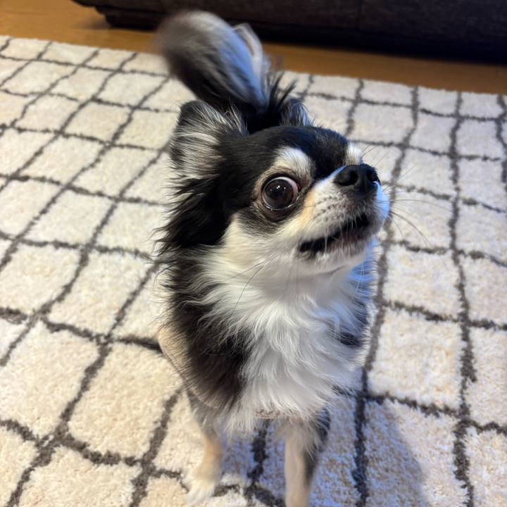 5da6a1a4 2d5b 4b00 a9fe 0f8a3acd77d3 1734194177764