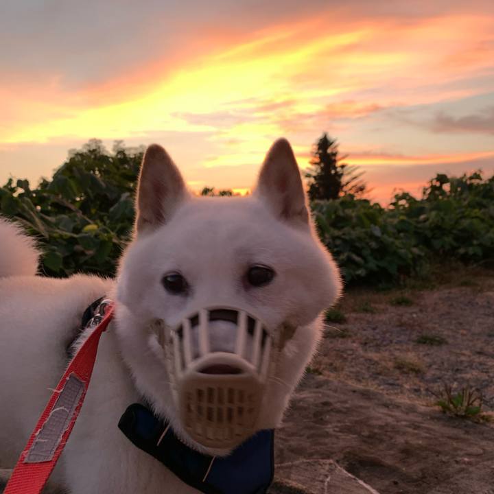 5da6a9ff c502 43f8 9d90 23e90fabef1d 1627933536505