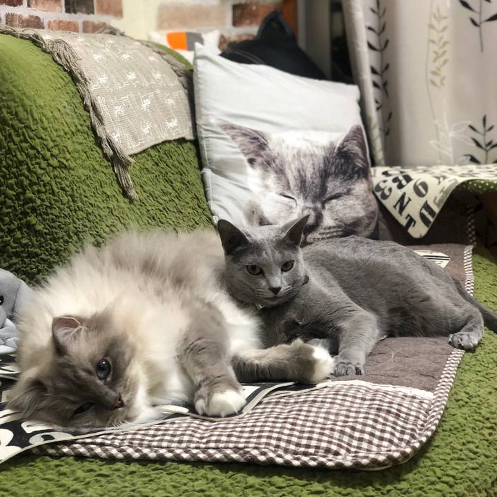 5da6ca2a 5225 465e 82ce 48a21a0f3bf1 1574150355098