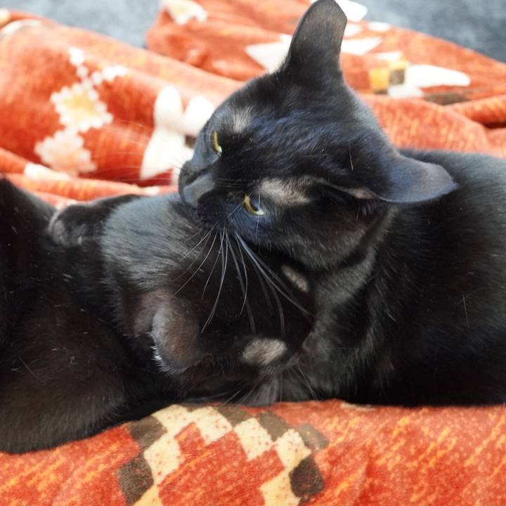 5da73b94 6d55 4454 8853 a5776db42d47 1612670591335