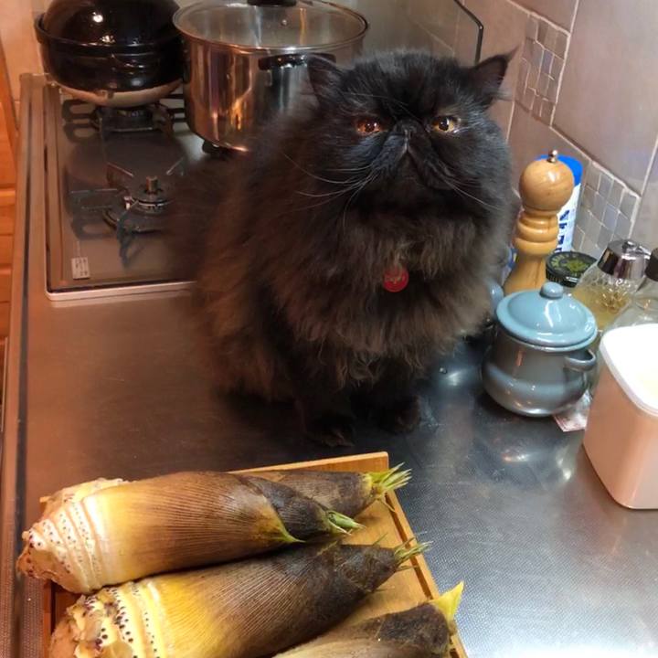 5da74361 326c 4565 befe e717d352b59d 1555764432381