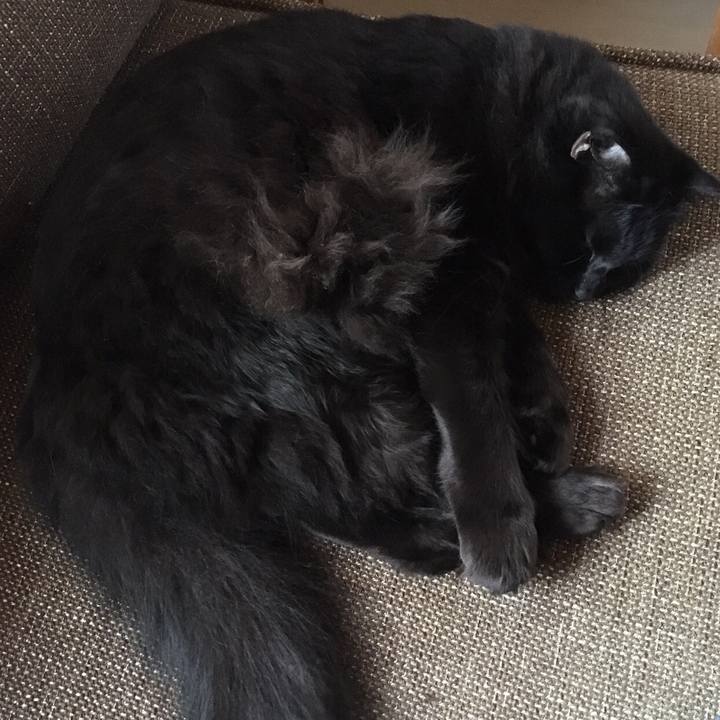 5da77514 8a83 4033 bb09 9d315abfe70b 1508736702742