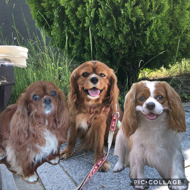 5da7cf2a 1c76 498a 86df 8321ca8ae011 1590899254978