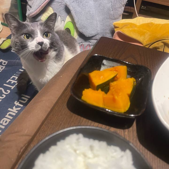 5da7f38d 1fe0 40ce 8fa2 7ff37bf1be70 1744889935943