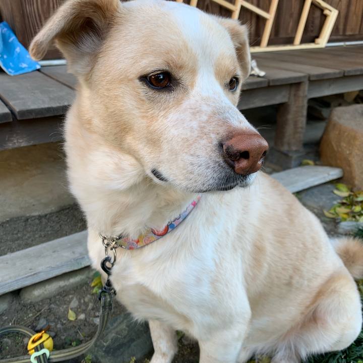 5da812cf 72fd 4c82 9509 7a3c36fd986d 1554082643687