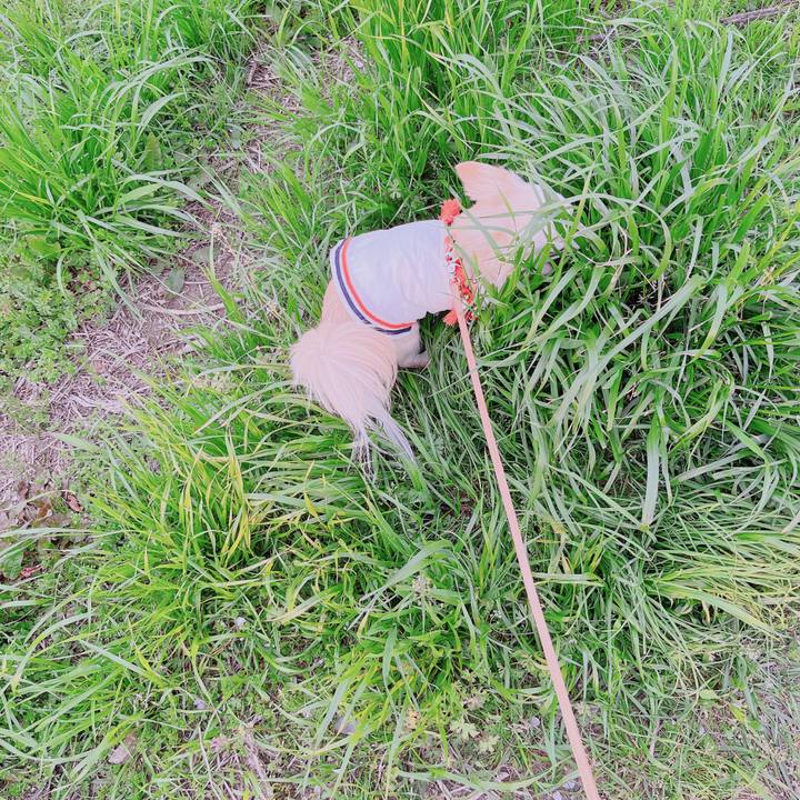 5da840e1 092d 4bf0 a713 b3ede87f3d4c 1680608535009