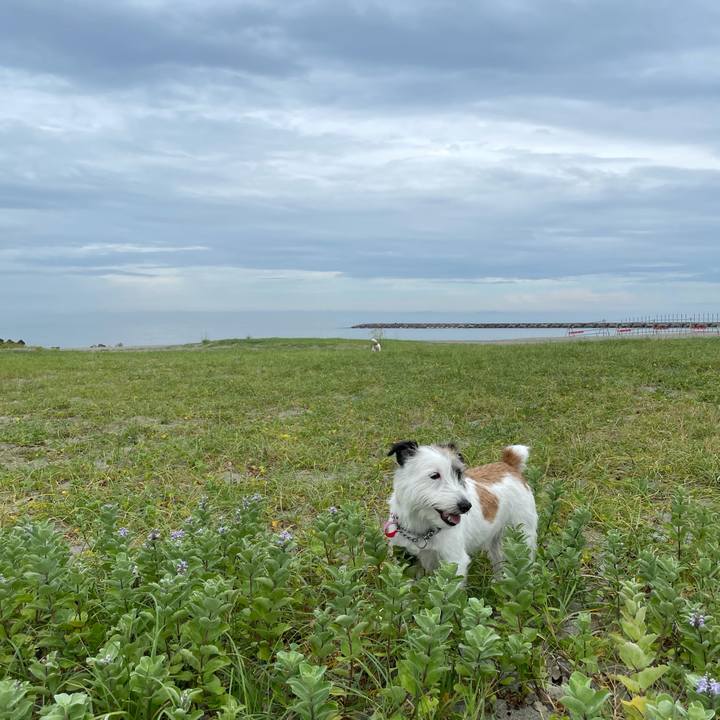 5da8f2db 5640 4762 96be 66f2447503fe 1627343586330