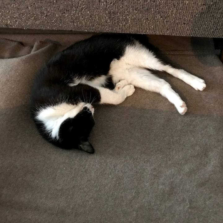 5da9844c ab87 4d54 b5f9 4430254ad913 1551502382625