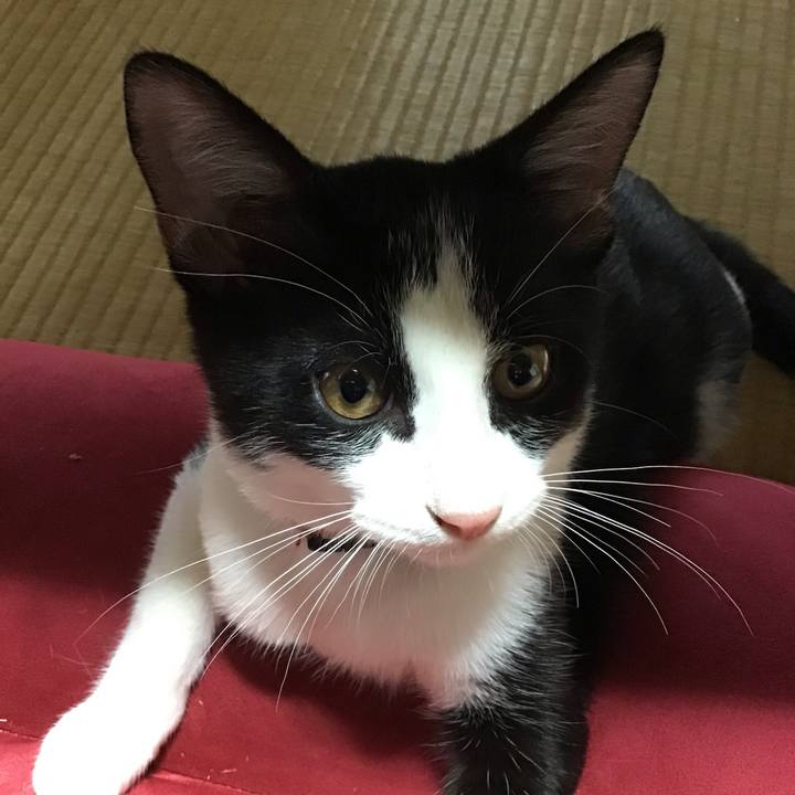 5da9a55b ec91 41bf b624 5160ec7d998e 1628819639876