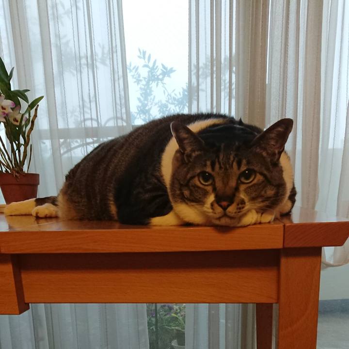 5da9ee80 7aaa 4863 820b 8c7999e042ad 1523746193403