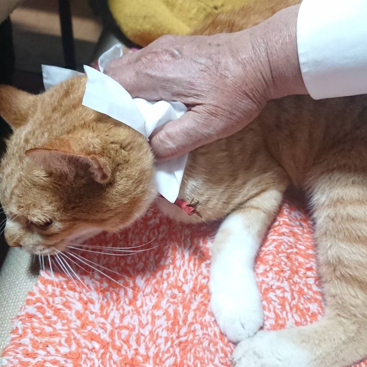 5daa14d8 b45c 4b5e 8a3b 298bdb08f804 1573464881088