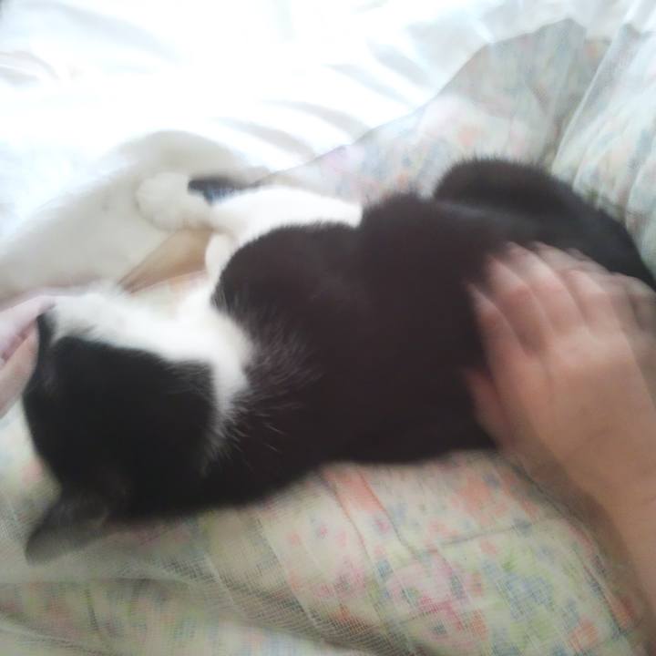 5daa1dbc 61c2 4701 b64c 944f8f7a8e71 1526033256093