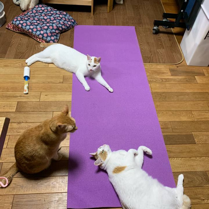 5daa30a5 2e8c 4065 a08e 36c8499ca417 1590934161822