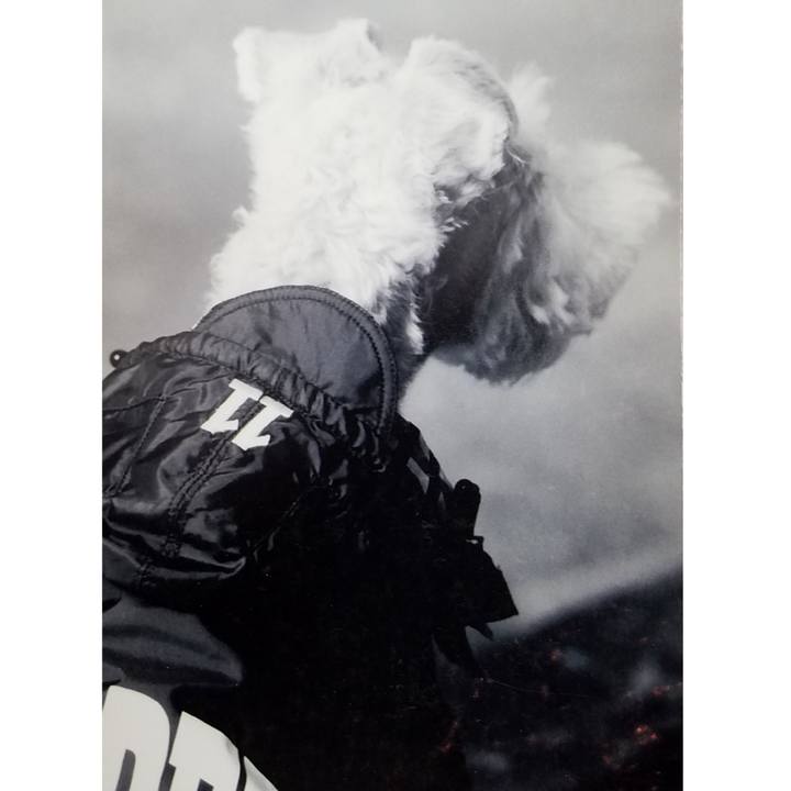 5daa7b3d 269d 4398 8004 99c8574e2a88 1558569269023