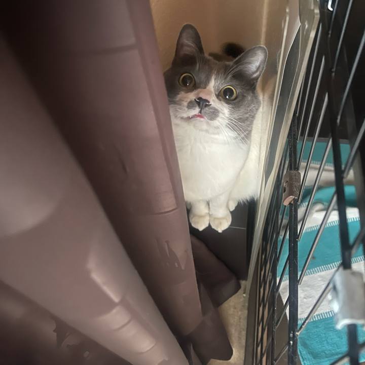 5dab1378 419b 4559 9a2c e913ff45d4a2 1738830290948