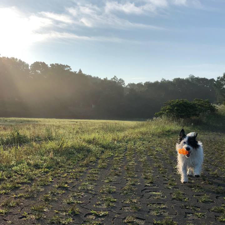 5dab2ae4 7c14 4a7d bc5a 8e93ed7a84f9 1529616418805