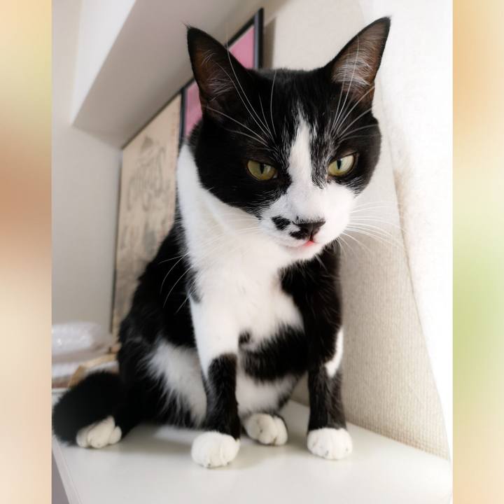 5dab2b89 61a2 4a79 a4bd 27e98cb8d839 1570681564571