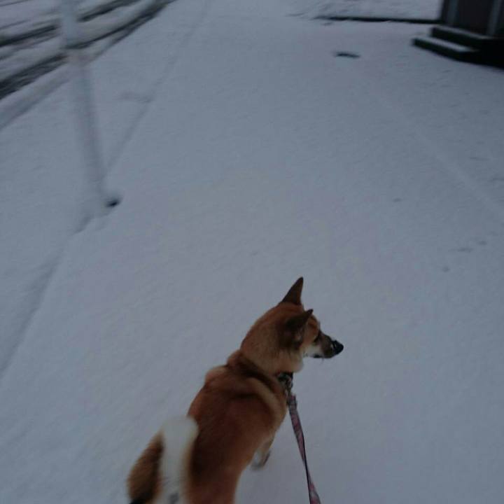 5dab2d4f 710a 4e24 b281 a6cc49fd3182 1511059086386